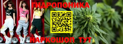 стафф Будённовск