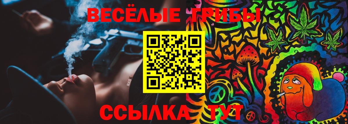 Псилоцибиновые грибы прущие грибы Биробиджан